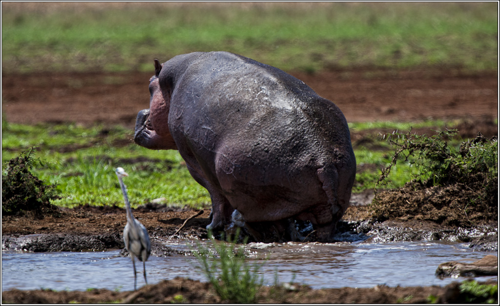 Bitte nicht auf meinen Hintern
